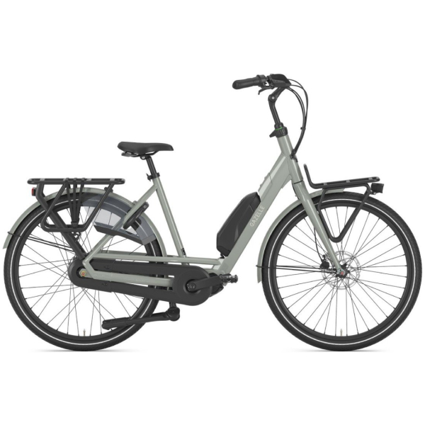 Gazelle Bloom C310 Clay Green Glans N1