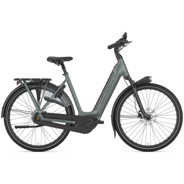 Gazelle Grenoble C8+ Twilight Green Mat N8