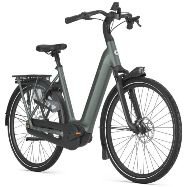 Gazelle Grenoble C8+ Twilight Green Mat N8 - Afbeelding 4